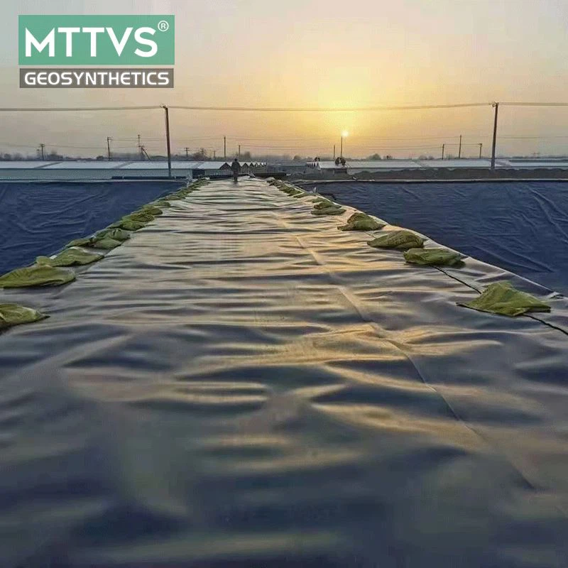 geomembrane 11.png